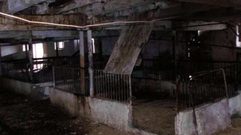 Barns Make Me Happy - North-Oakville-farm53.jpg