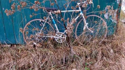 Barns Make Me Happy - North-Oakville-farm62.jpg