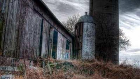 January 2013 - king4.jpg