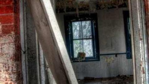 January 2013 - king9.jpg