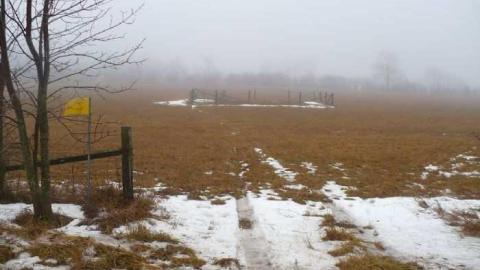 Black's Corners - Blacks-Corners1.jpg