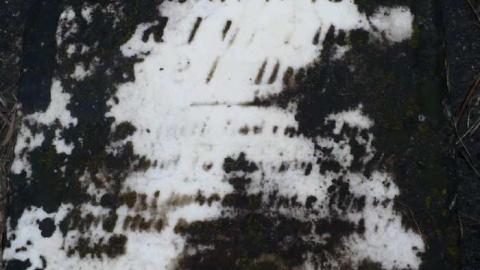 Black's Corners - Blacks-Corners12.jpg