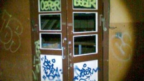 Photo from My first look