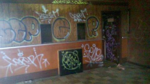 Photo from My first look