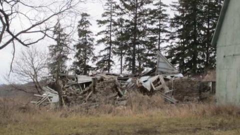 Photo from 14/1/2013