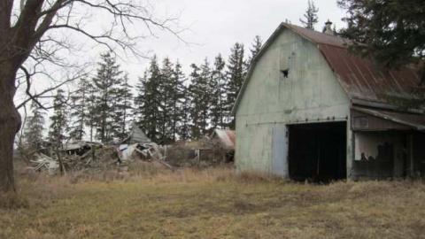 Photo from 14/1/2013