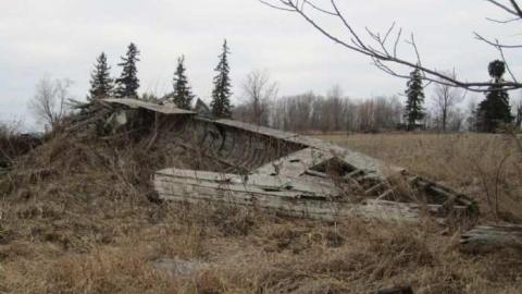 14/1/2013 - IMG_0199.jpg