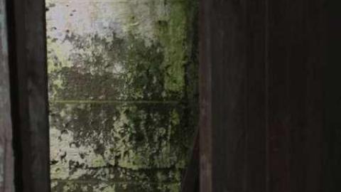 14/1/2013 - IMG_0202.jpg