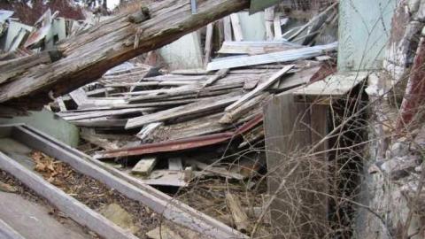 14/1/2013 - IMG_0203.jpg