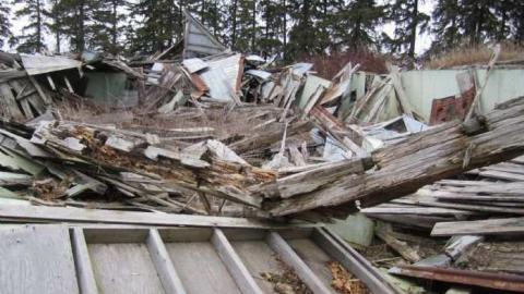 Photo from 14/1/2013