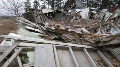 14/1/2013 - IMG_0205.jpg