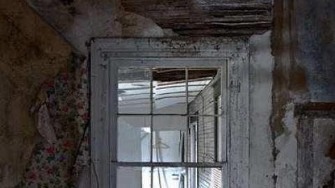 Gallery - Rebecca-Road85.jpg