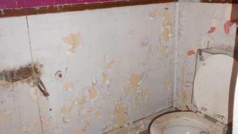 Photo from Flyin Squirrels