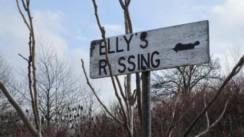 Forbidden Roads and Bridges - Thorold, Ontario