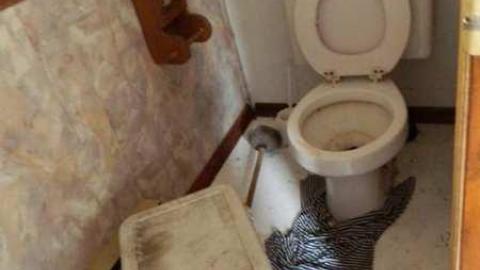 Got the Bungalow Blues - Listowel-Bungalow24.jpg