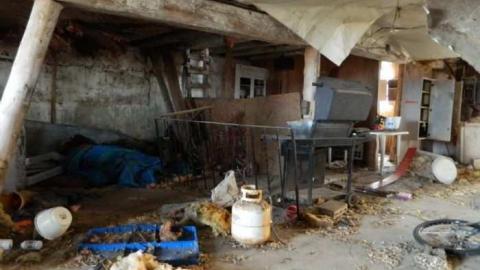 Got the Bungalow Blues - Listowel-Bungalow18.jpg