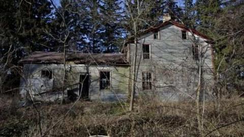 Dec 2012 - _DSC2.0832.1.jpg