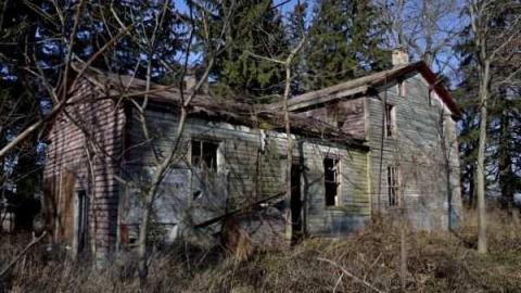 Dec 2012 - _DSC3.0831.1.jpg