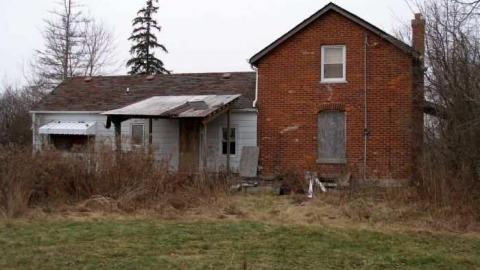 Coyote Crap? - P1170247.jpg