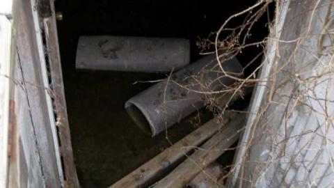 Coyote Crap? - P1170248.jpg