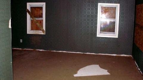 Coyote Crap? - P1170249.jpg