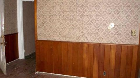 Coyote Crap? - P1170252.jpg