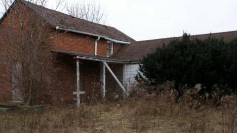 Coyote Crap? - P1170260.jpg