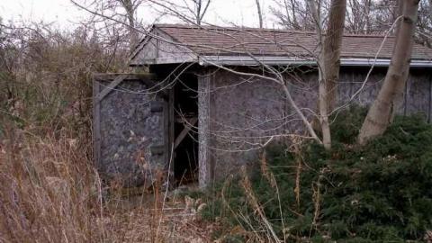 Coyote Crap? - P1170262.jpg