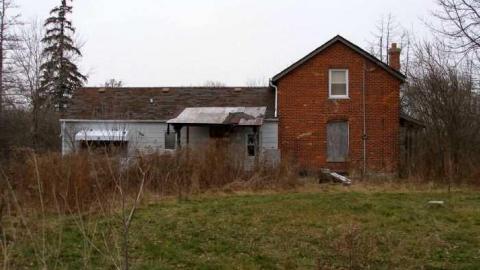 Coyote Crap? - P1170265.jpg