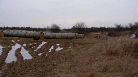 Coyote Crap? - P1170274.jpg