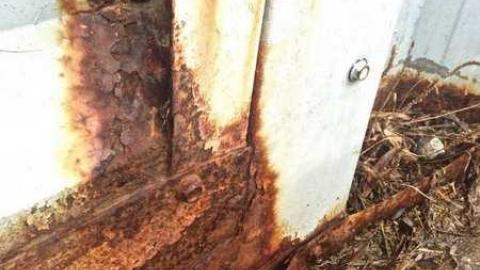 Nothing Much. - Reinhart-Auctions38.jpg