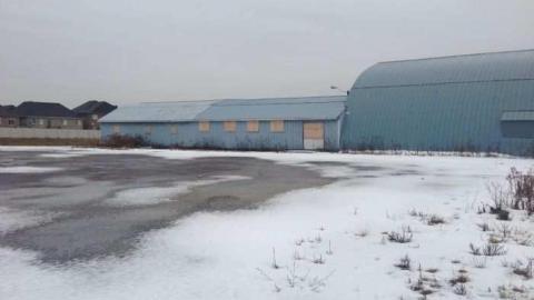 Nothing Much. - Reinhart-Auctions44.jpg