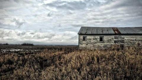 10/10 - Hurontario-Street135.jpg