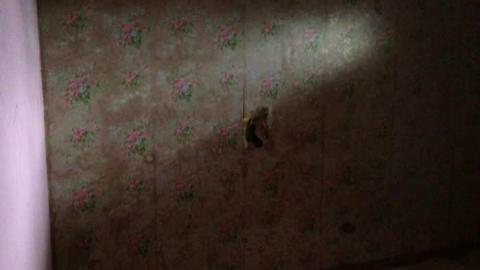 Neighbour to #2767 photo 3