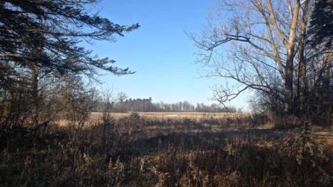 Burnt Down. - Duffys-Demise28.jpg