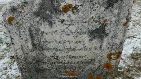 A Pleasant View - PleasantView-Pioneer-Cemetery8.jpg