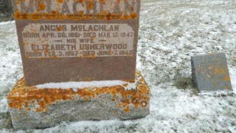 PleasantView Pioneer Cemetery photo 5