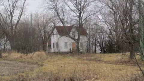 19/1/2013 - IMG_0179.jpg