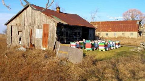 Bird Dog - Carrique-Property51.jpg