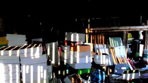 Bird Dog - Carrique-Property62.jpg