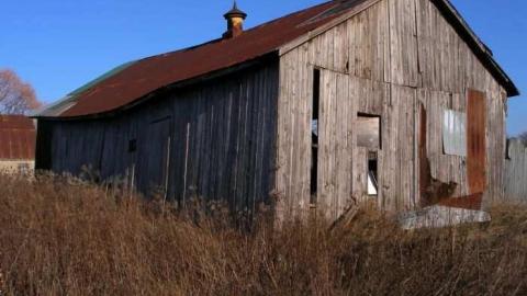 Bird Dog - Carrique-Property52.jpg