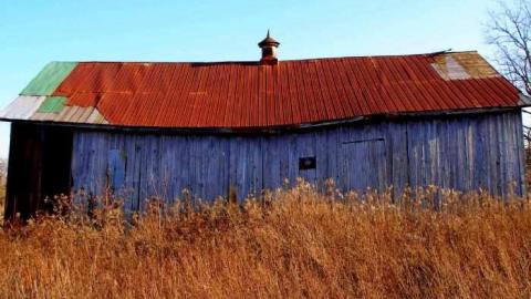 Carrique Property photo 3