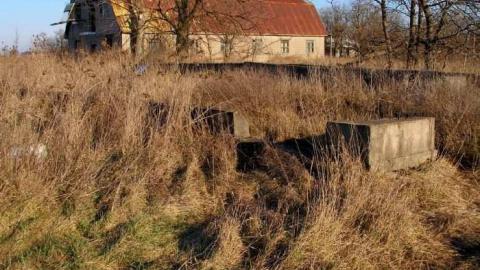 Bird Dog - Carrique-Property53.jpg