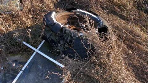 Bird Dog - Carrique-Property65.jpg