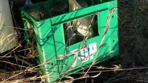 Carrique Property - Oakville, Ontario