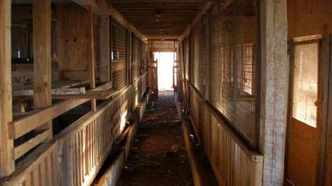 Bird Dog - Carrique-Property66.jpg