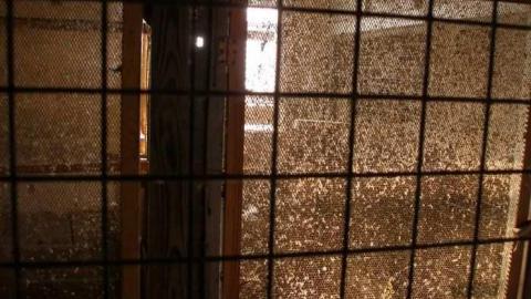 Bird Dog - Carrique-Property67.jpg