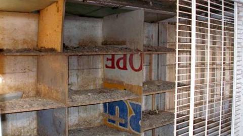 Carrique Property photo 4