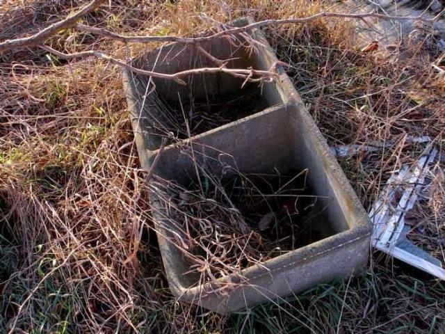 Carrique Property photo 5