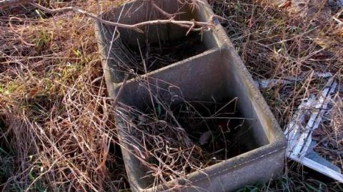 Carrique Property photo 5